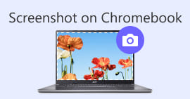 عکس صفحه در Chromebook-S