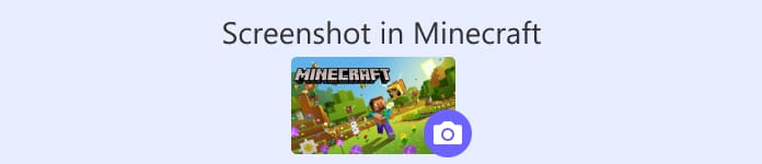 Tangkapan skrin pada Minecraft