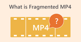 ما هو مجزأة MP4