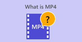 MP4 란 무엇입니까?