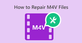 修复 M4v 文件 S