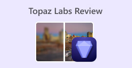 Topaz Labs anmeldelse