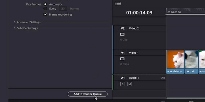 Davinci Resolve Afegeix la cua de renderització