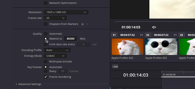 Davinci Resolve Bitrate