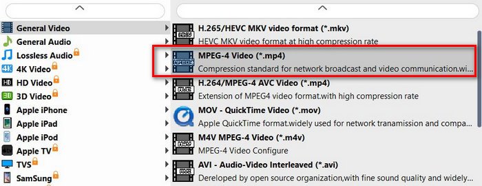 Fvc Free Ts Converter Output Format