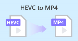 Fevc to Mp4