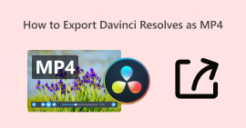 How to Export Davinci Resolve as Mp4