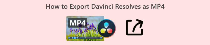 Cum se exportă Davinci Resolve ca Mp4