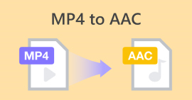 Mp4 轉 Aac