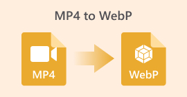 Mp4 vers Webp