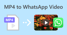 Mp4 到 Whatsapp 視頻