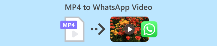 Mp4 в WhatsApp Видео