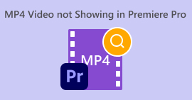 Mp4 视频未在 Premiere Pro 中显示