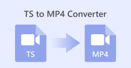 Convertitore da Ts a Mp4