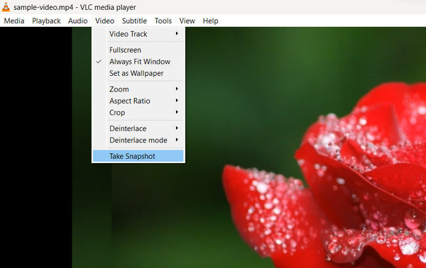 Vlc Mp4 To Jpg Take Snapshot