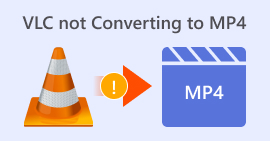 Vlc not Converting to Mp4