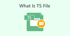 Ts File คืออะไร