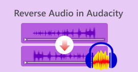 Audio inverso in Audacity