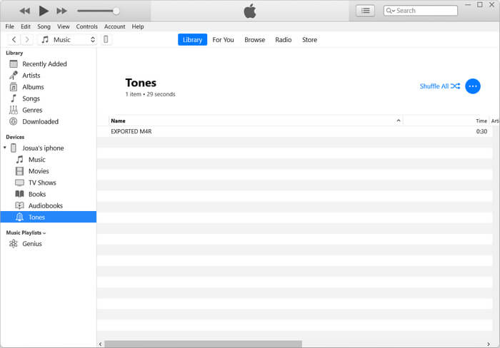 Trasferisci file utilizzando iTunes Import File