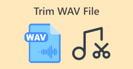 Taglia file Wav