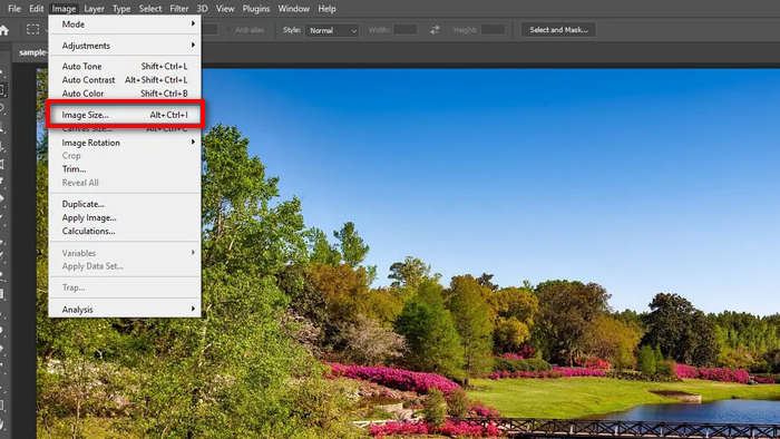 Rapporto di compressione Dimensioni immagine Photoshop