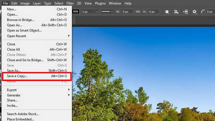 อัตราส่วนการบีบอัด Photoshop บันทึกสำเนา