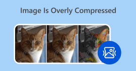 Image Is Overly Compressed