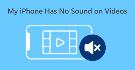 Mon iPhone n'a pas de son sur les vidéos