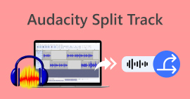 การแยกแทร็กของ Audacity