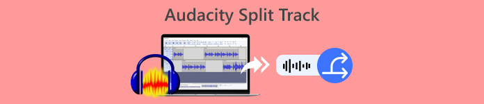 Pista dividida de Audacity