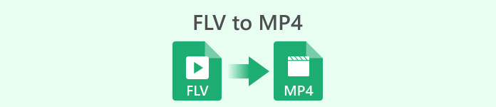 Da FLV a MP4
