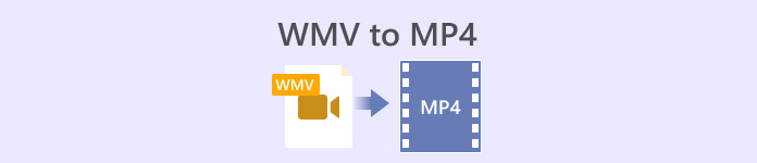 Da WMV a MP4