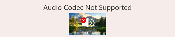 Codec audio non supportato