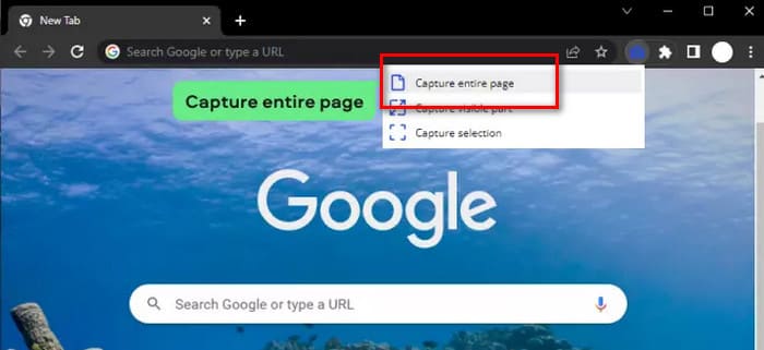 Capture Chrome
