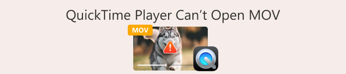 Quicktime Player 无法打开 Mov