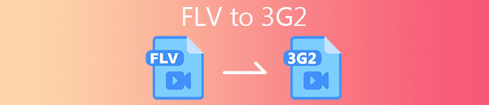 FLV에서 3G2로