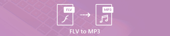 FLV에서 MP3로