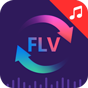 Бесплатный конвертер FLV в аудио