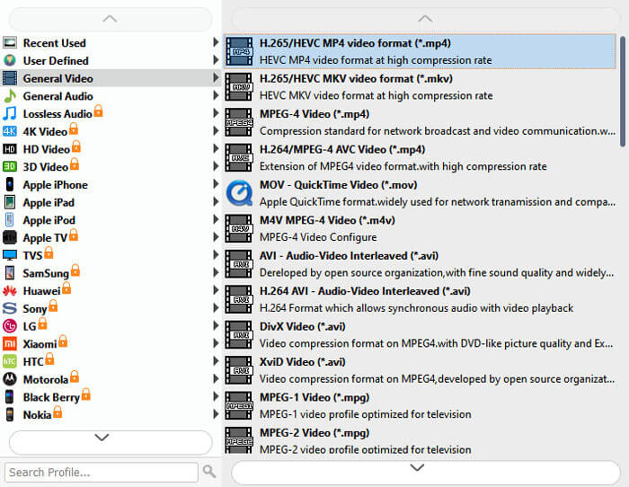 Output Format MP4