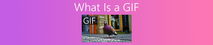 Was ist ein GIF?