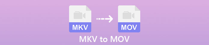 MKV till MOV