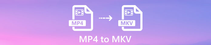 MP4에서 MKV로