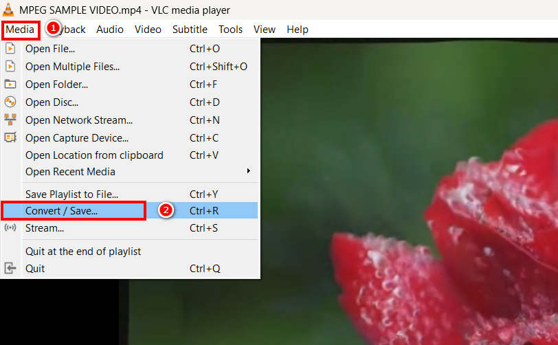 MPeg से MP4 VLC में कनवर्ट करें और सहेजें