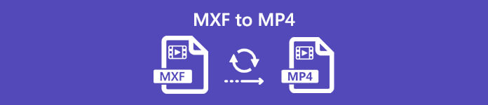 mxf-mp4.jpg