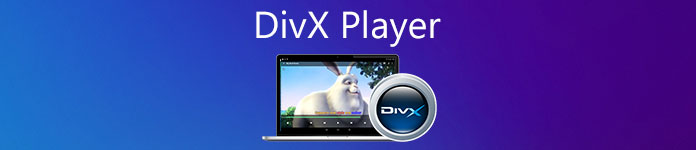 Divx player mpeg4 как включить