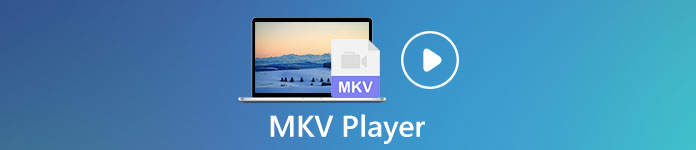 Reproductor MKV