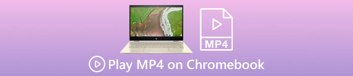 Reprodueix MP4 a Chromebook