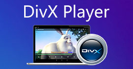 divx for mac review